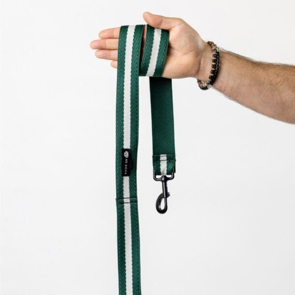 Leash Green/White