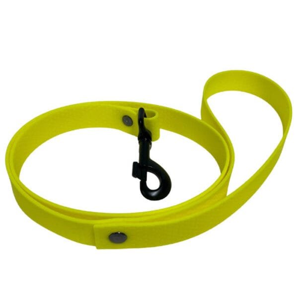 Collar Hexa Yellow - Image 2